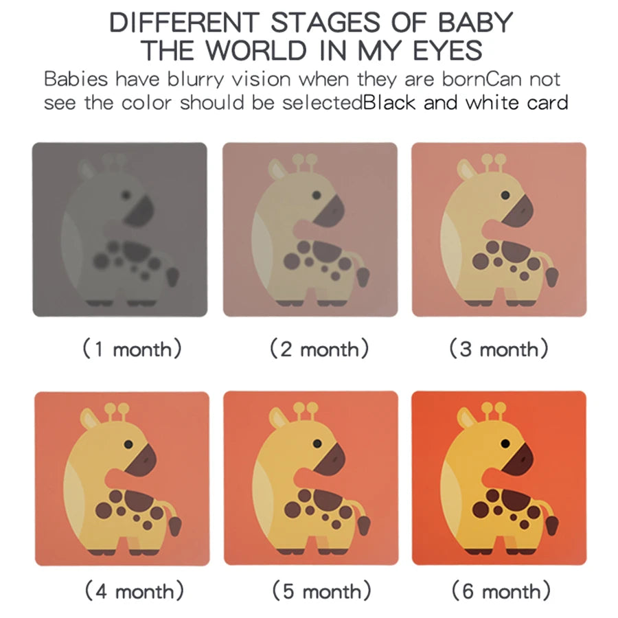 High-Contrast Baby Flash Cards